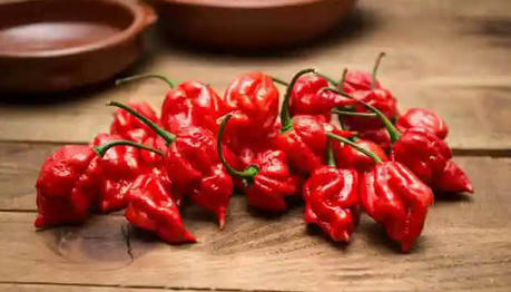 The Top10 Hottest Peppers in the World