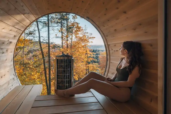 Log cabin Sauna house