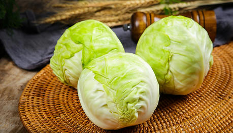 Health Benefits of Cabbage