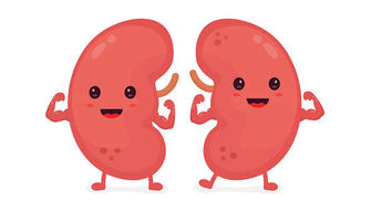 7 Signs that the Kidneys Are Not Working Properly