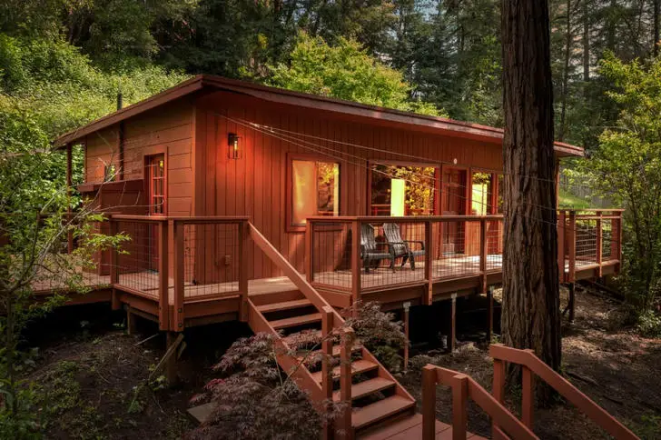 Charming cabin in the redwood forest