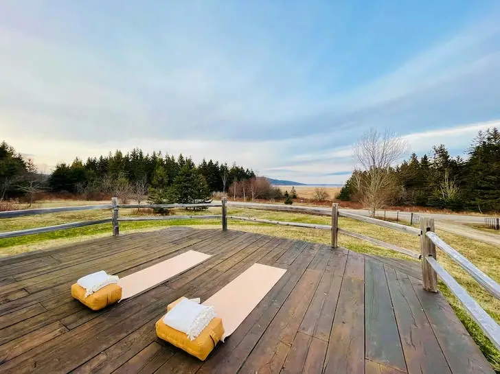 Tiny wooden cabin backyard