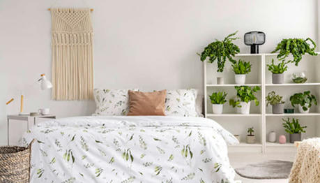 7 of the Best Plants for Your Bedroom