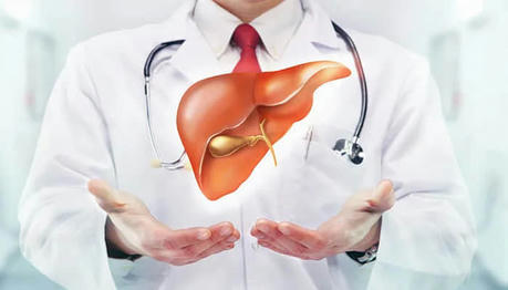 8 Ways to Protect Your Liver